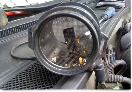 ДМРВ на ВАЗ 2114: особенности работы, диагностики и чистки датчика своими руками