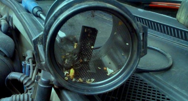 Признаки неисправности ДМРВ ВАЗ 2110: чистка, ремонт и проверка датчика массового расхода воздуха