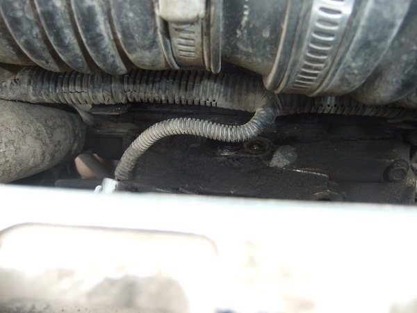 Где находится датчик температуры охлаждающей жидкости Chevrolet Niva, детонации, фаз и скорости, распредвала и уровня топлива