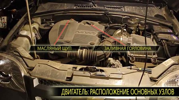 Меняем самостоятельно моторное масло на Шевроле Нива Меняем самостоятельно моторное масло на Шевроле Нива